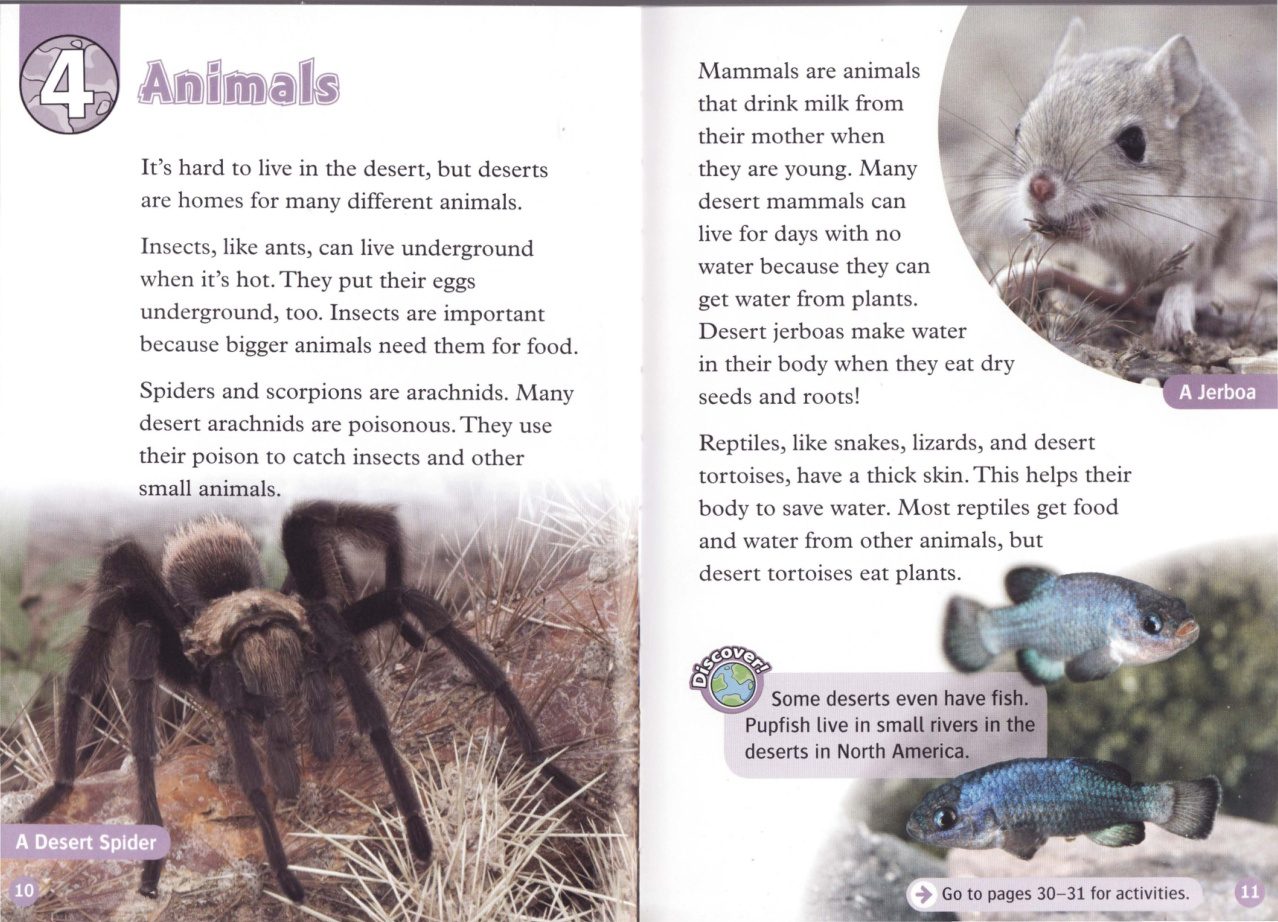 Animals