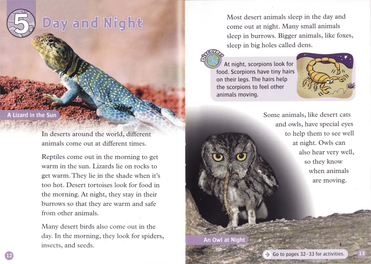 Day and Night