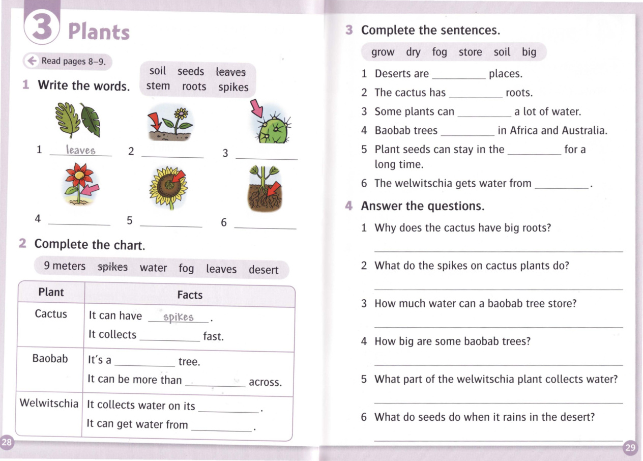 Activity page