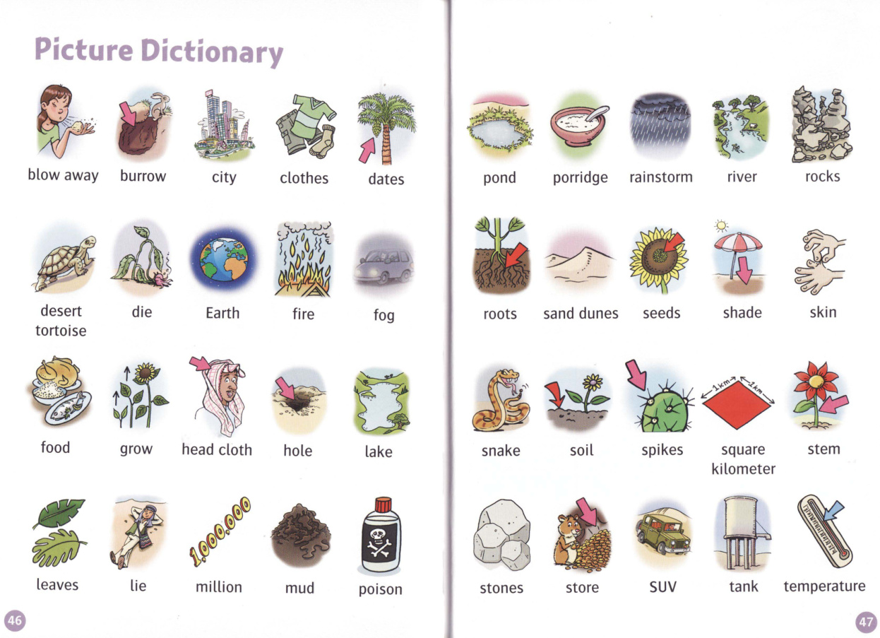 Picture Dictionary