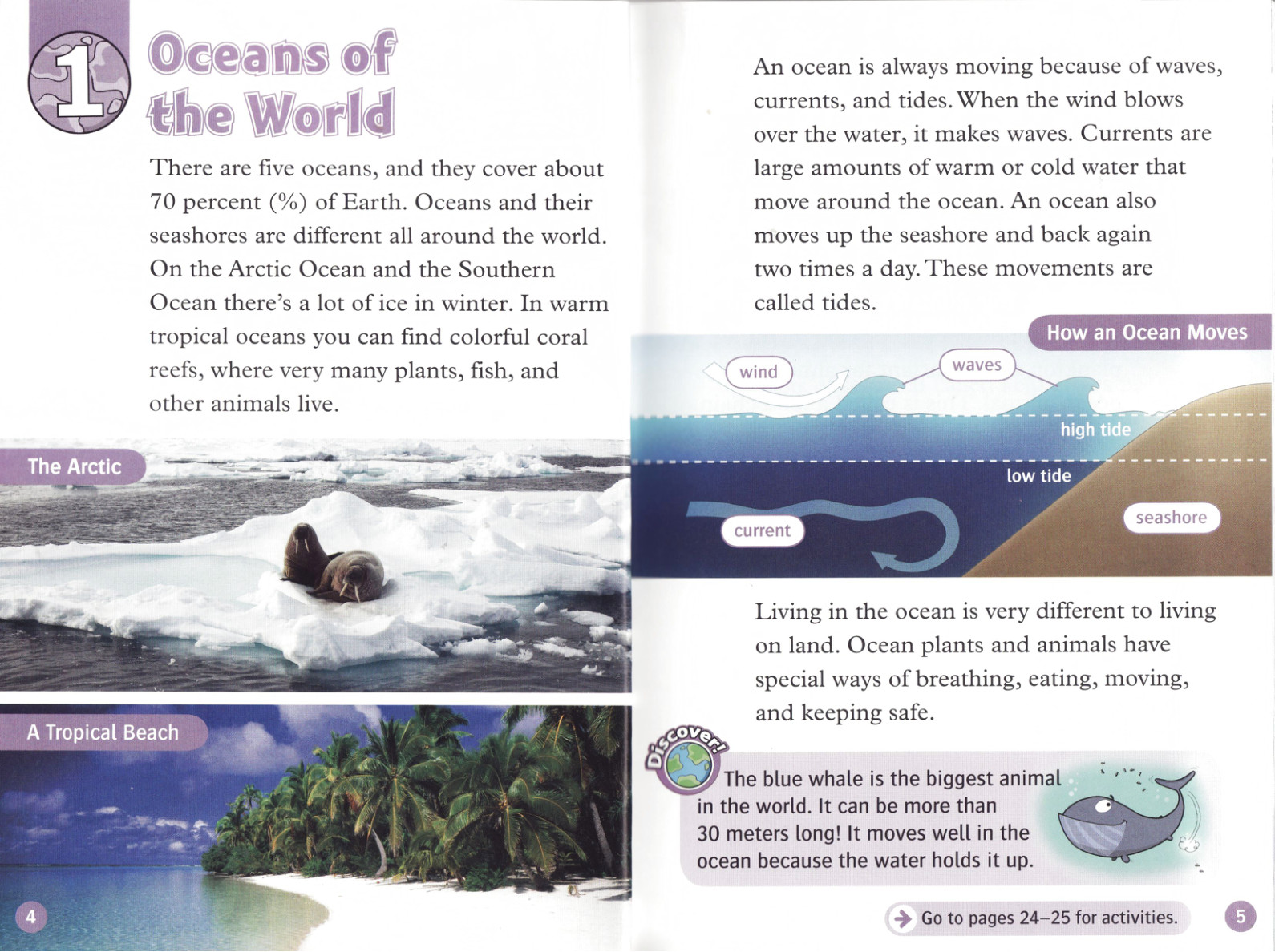 Oceans of the World