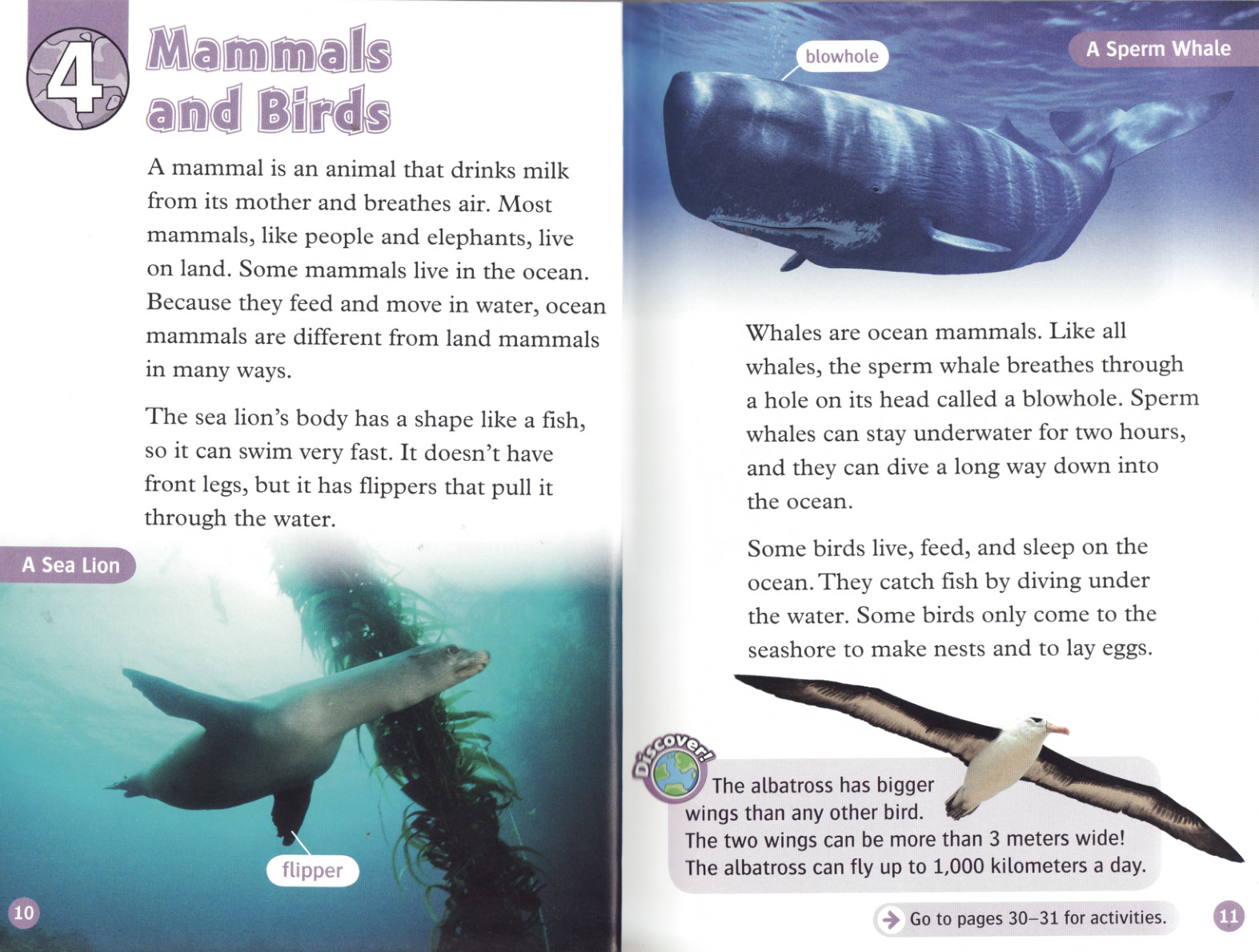 Mammals and Birds