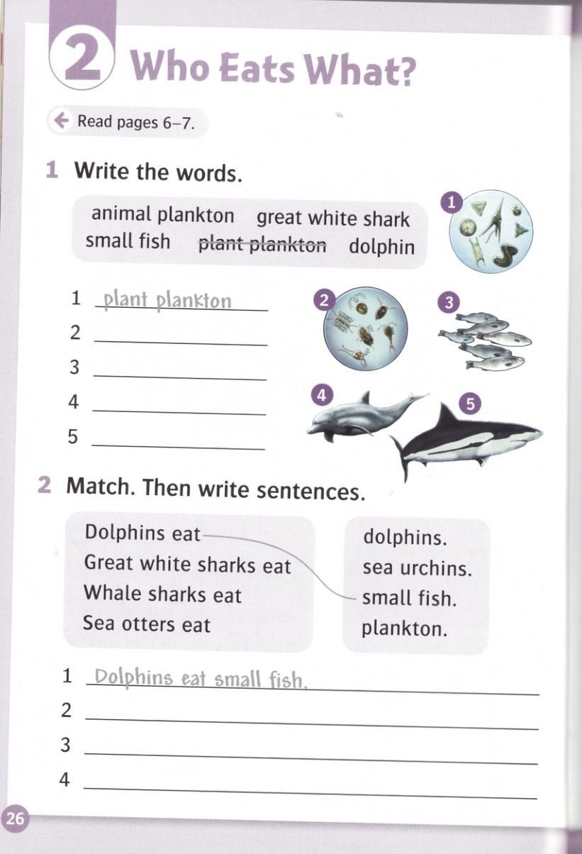 Write the words for the numbered pictures.