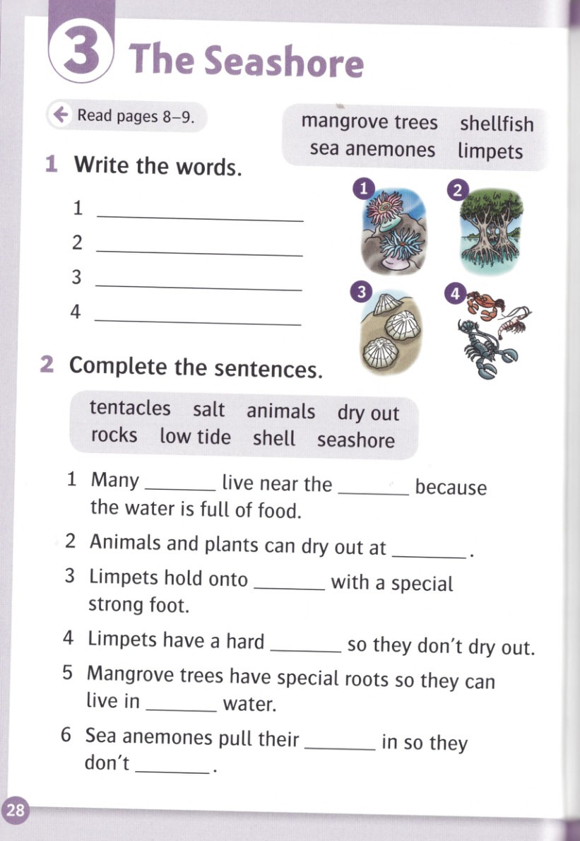 Write the words for the numbered pictures.