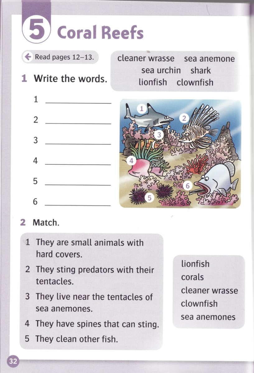 Write the words for the numbered pictures.