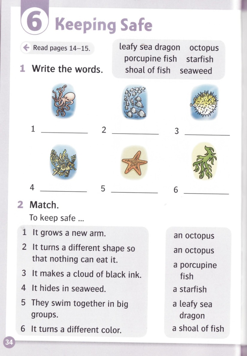 Write the words for the numbered pictures.