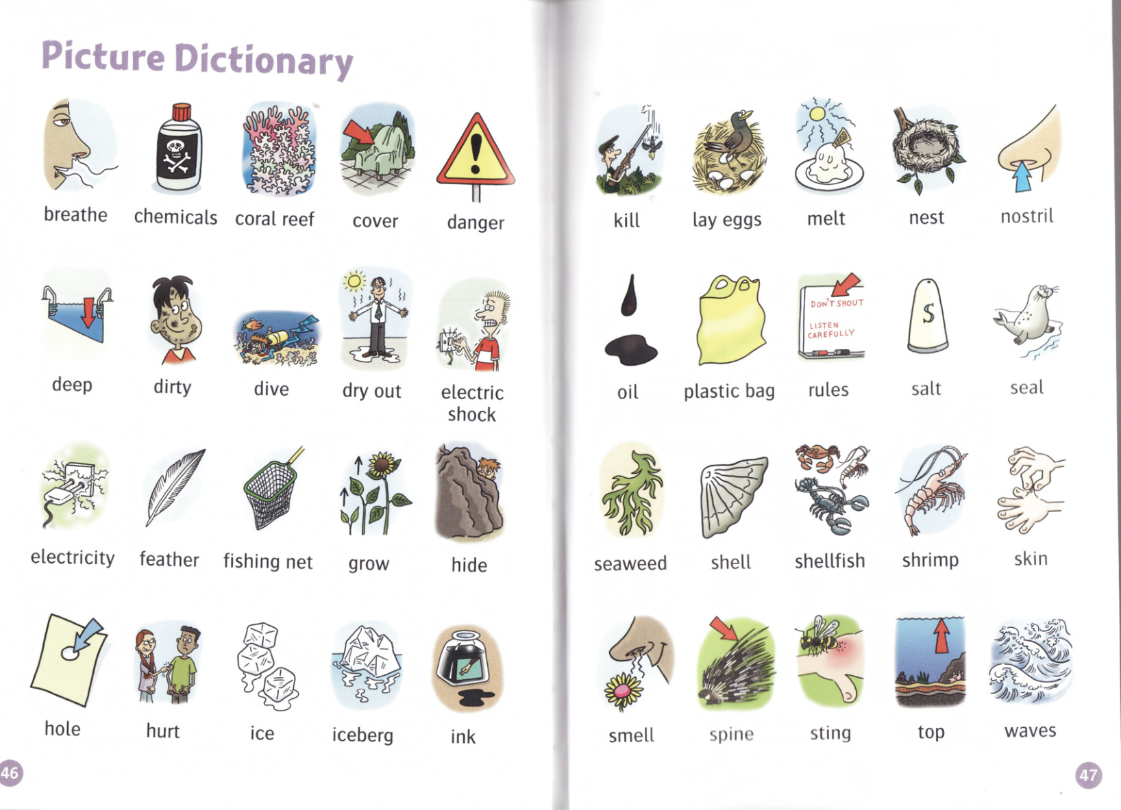 Picture Dictionary