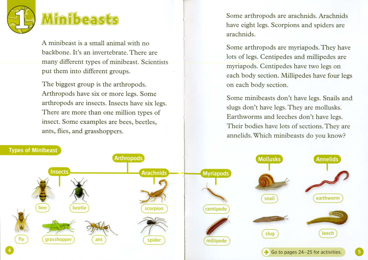 Minibeasts
