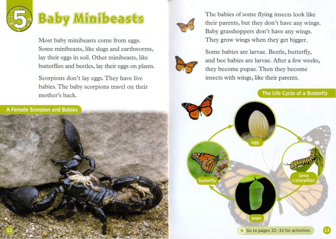 Baby Minibeasts