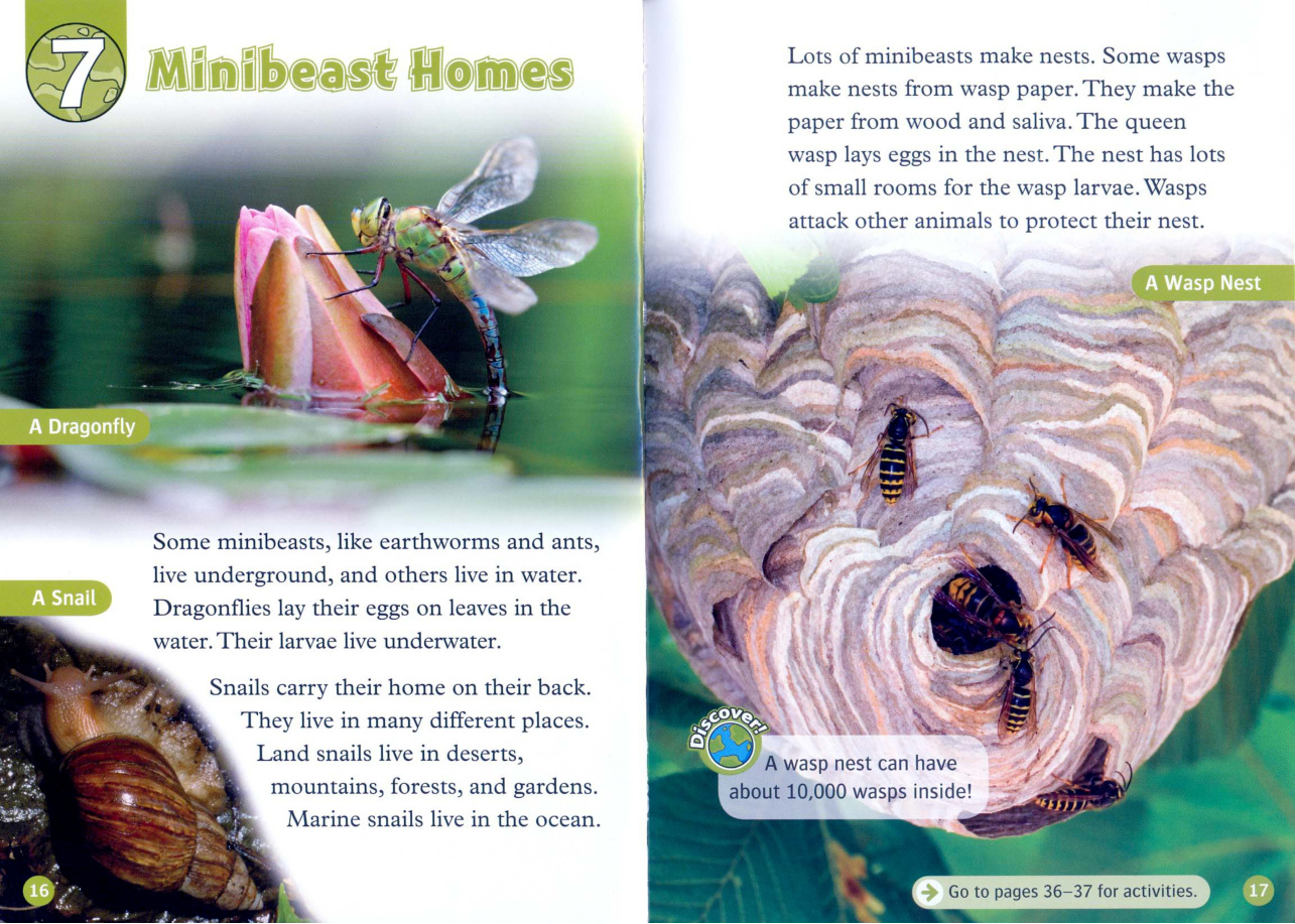 Minibeast Homes