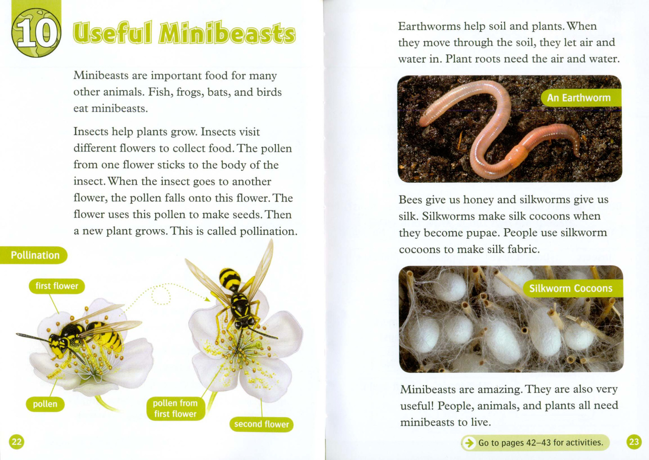 Useful Minibeasts