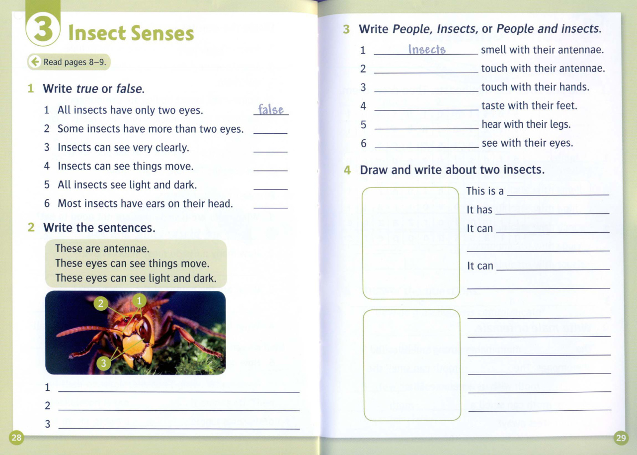 Activity page