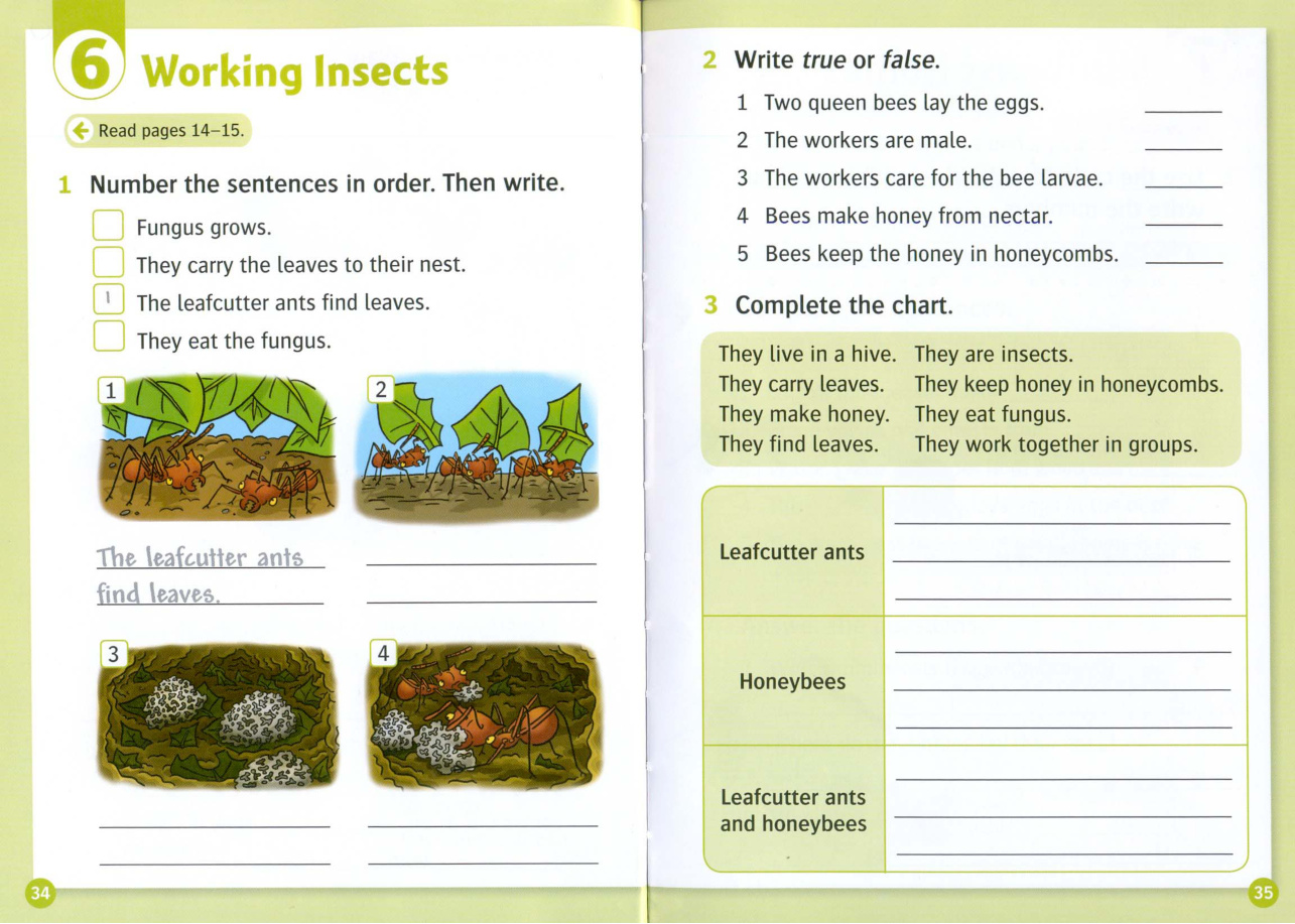 Activity page
