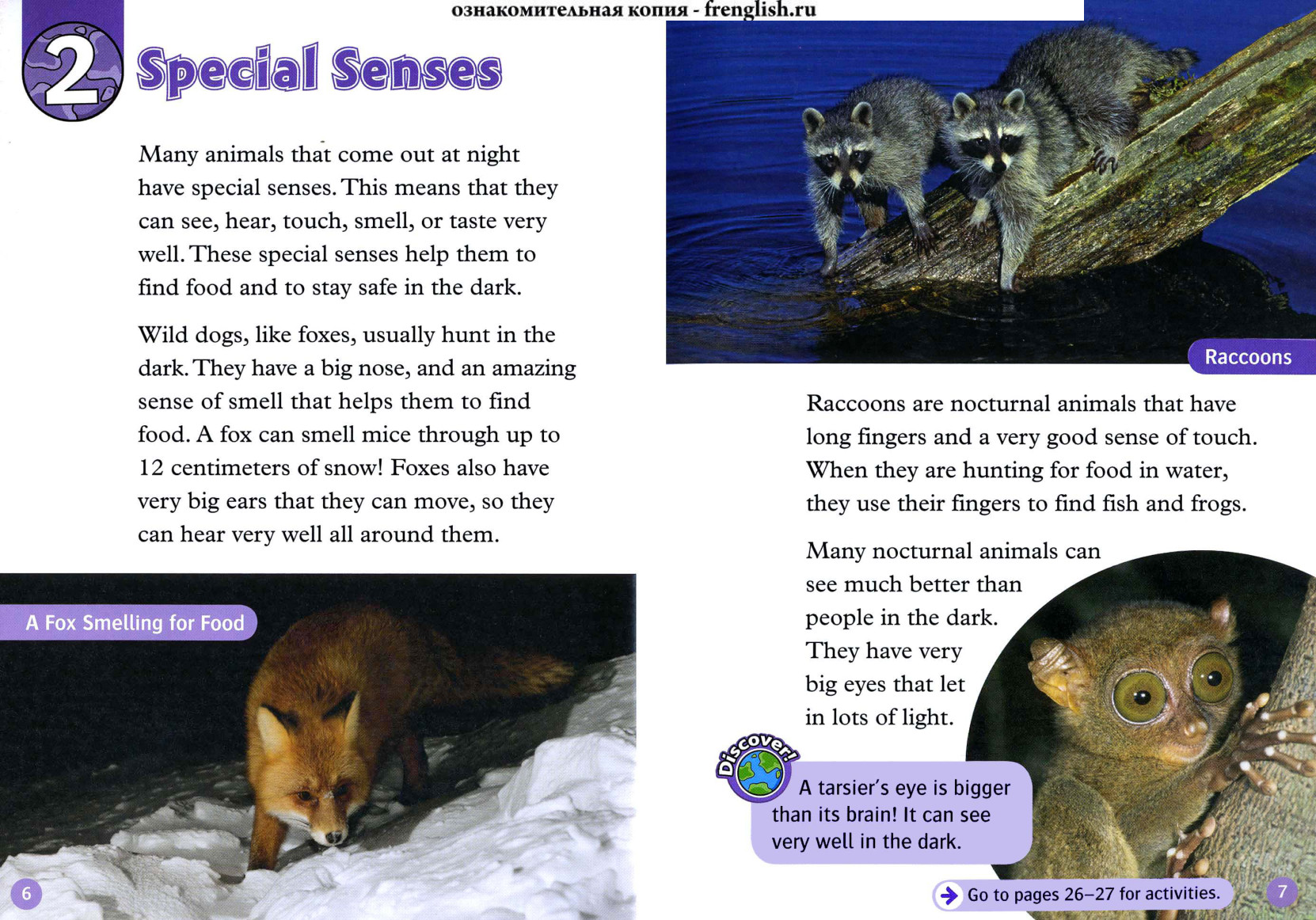 Special Senses