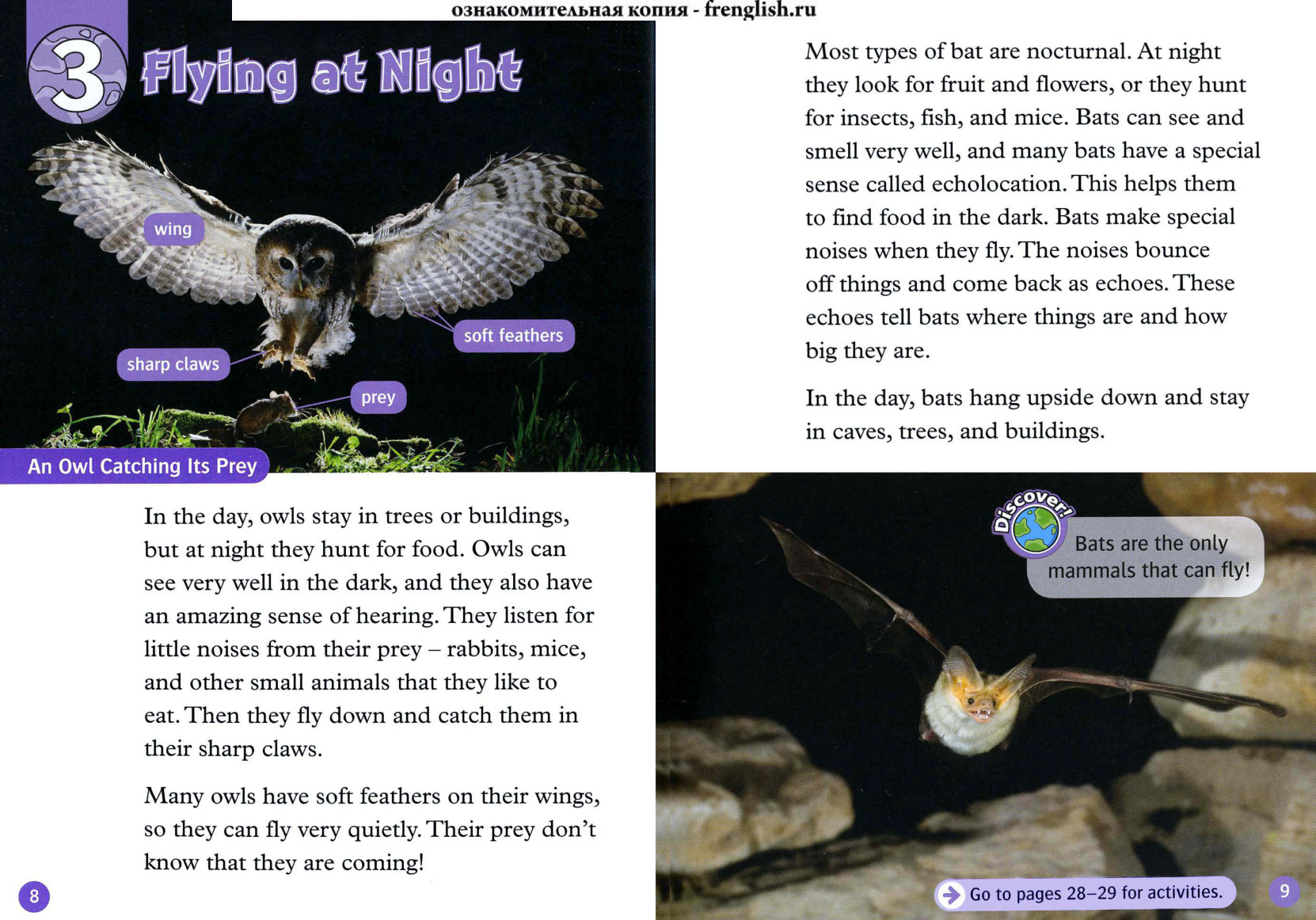 Flying at Night