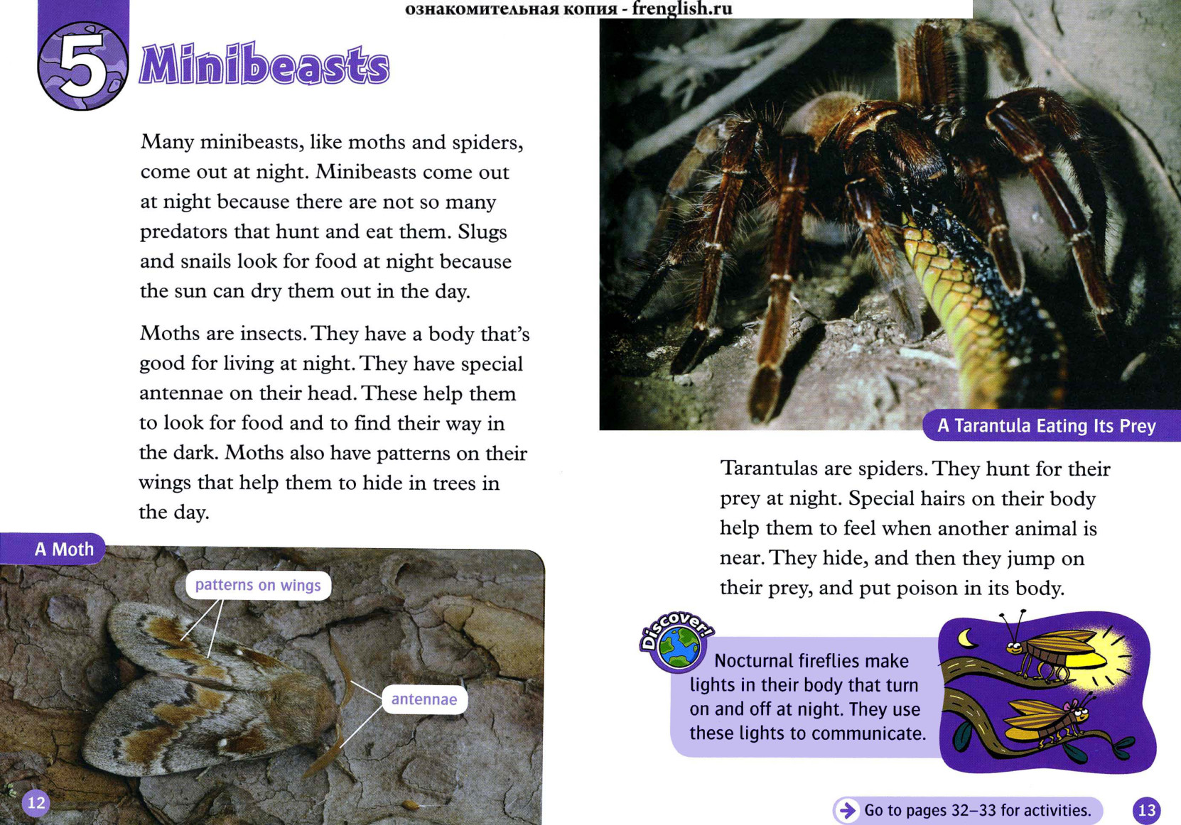 Minibeasts