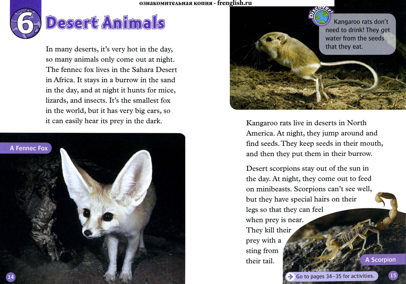 Desert Animals