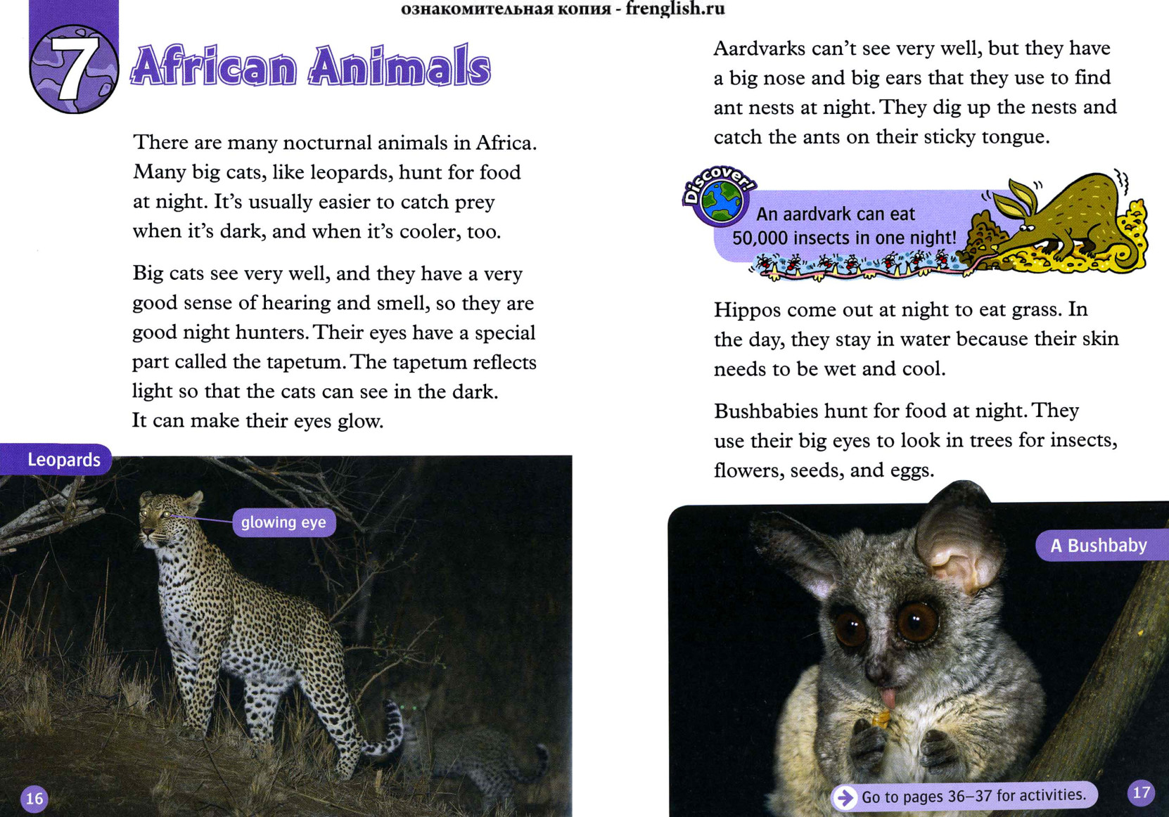 African Animals