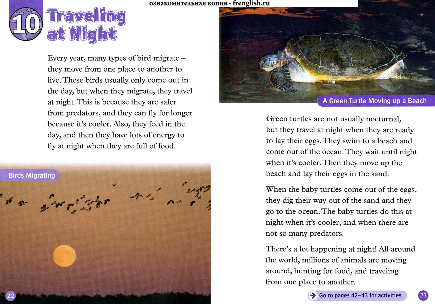 Traveling at Night