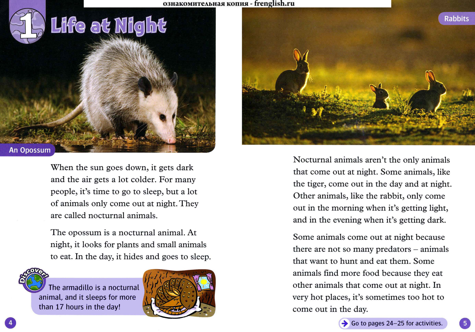 Life at Night