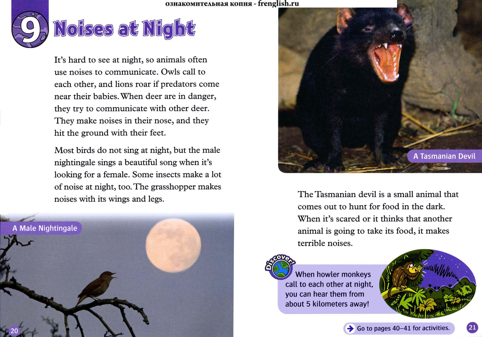 Noises at Night