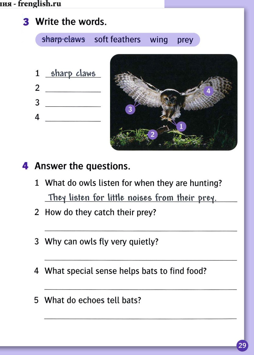 Write the words for the numbered pictures.