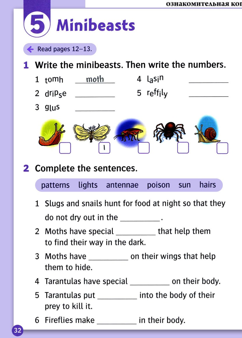 Write the word numbers under the pictures, from left to right. The second picture is the example: moth = 1.
