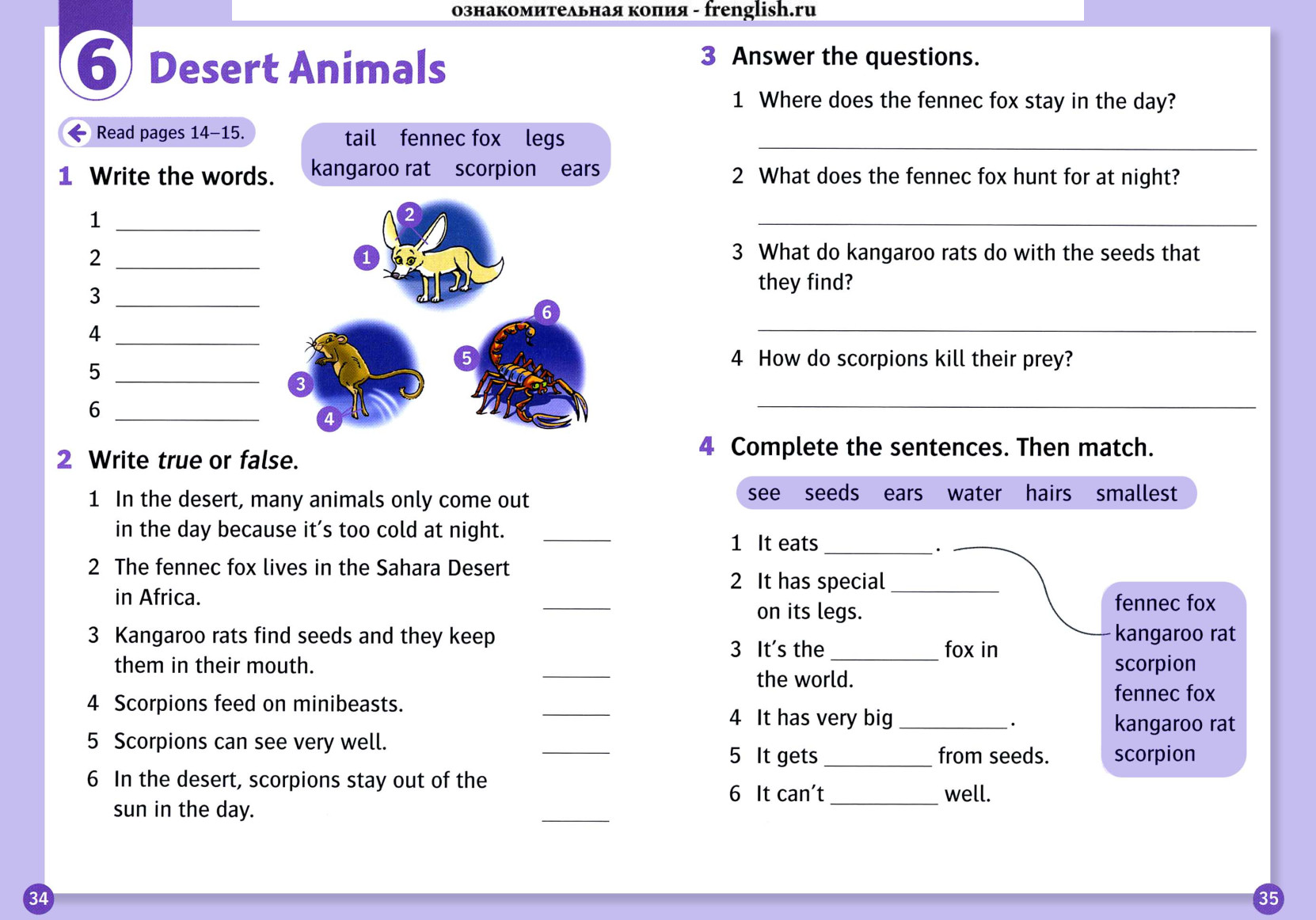 Activity page