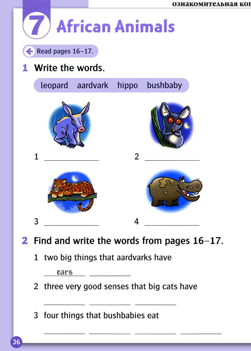 Write the words for the numbered pictures.