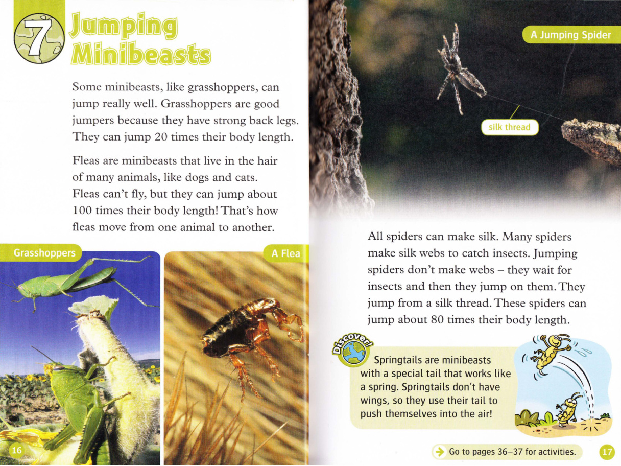 Jumping Minibeasts