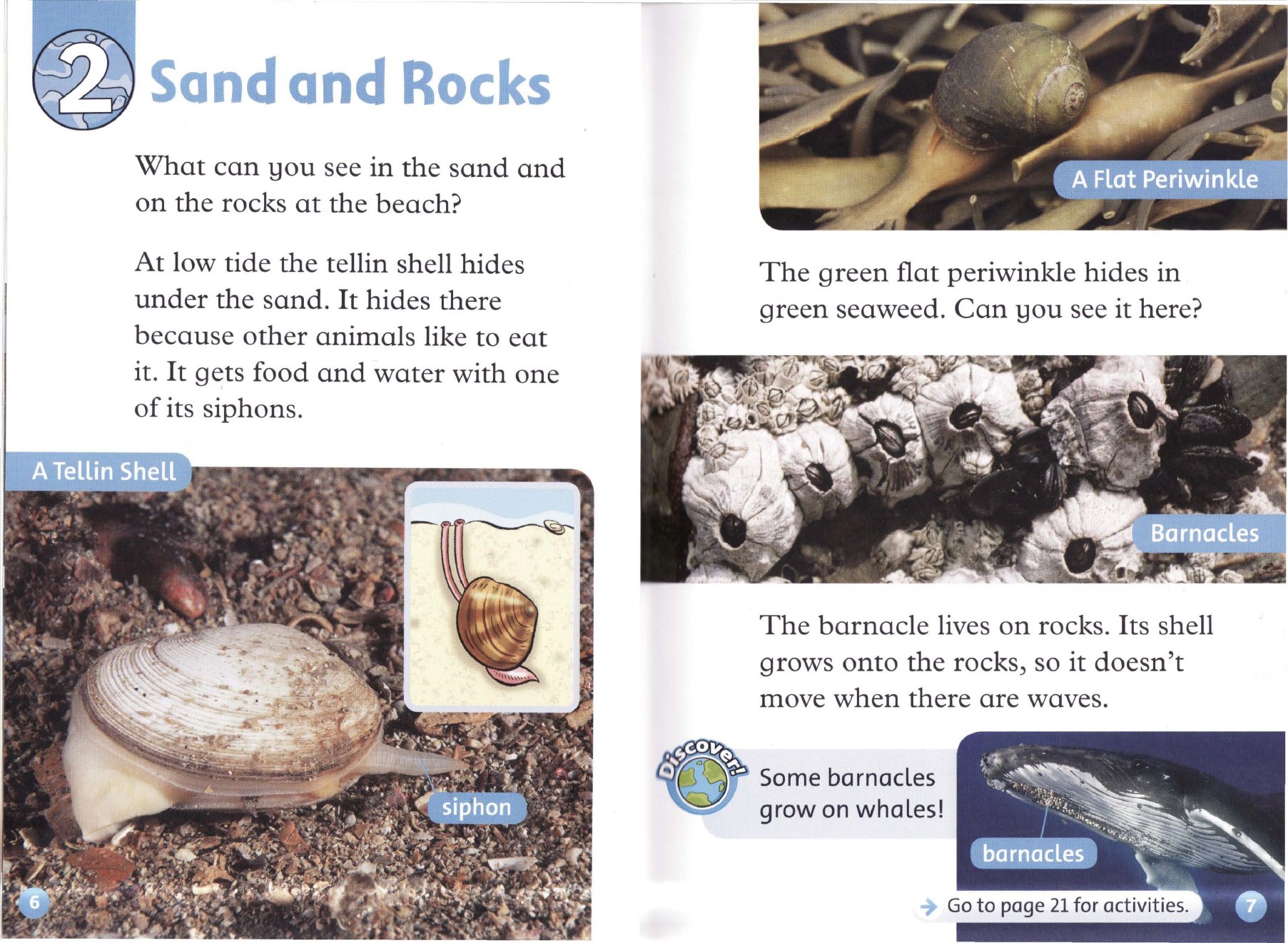 Sand and Rocks