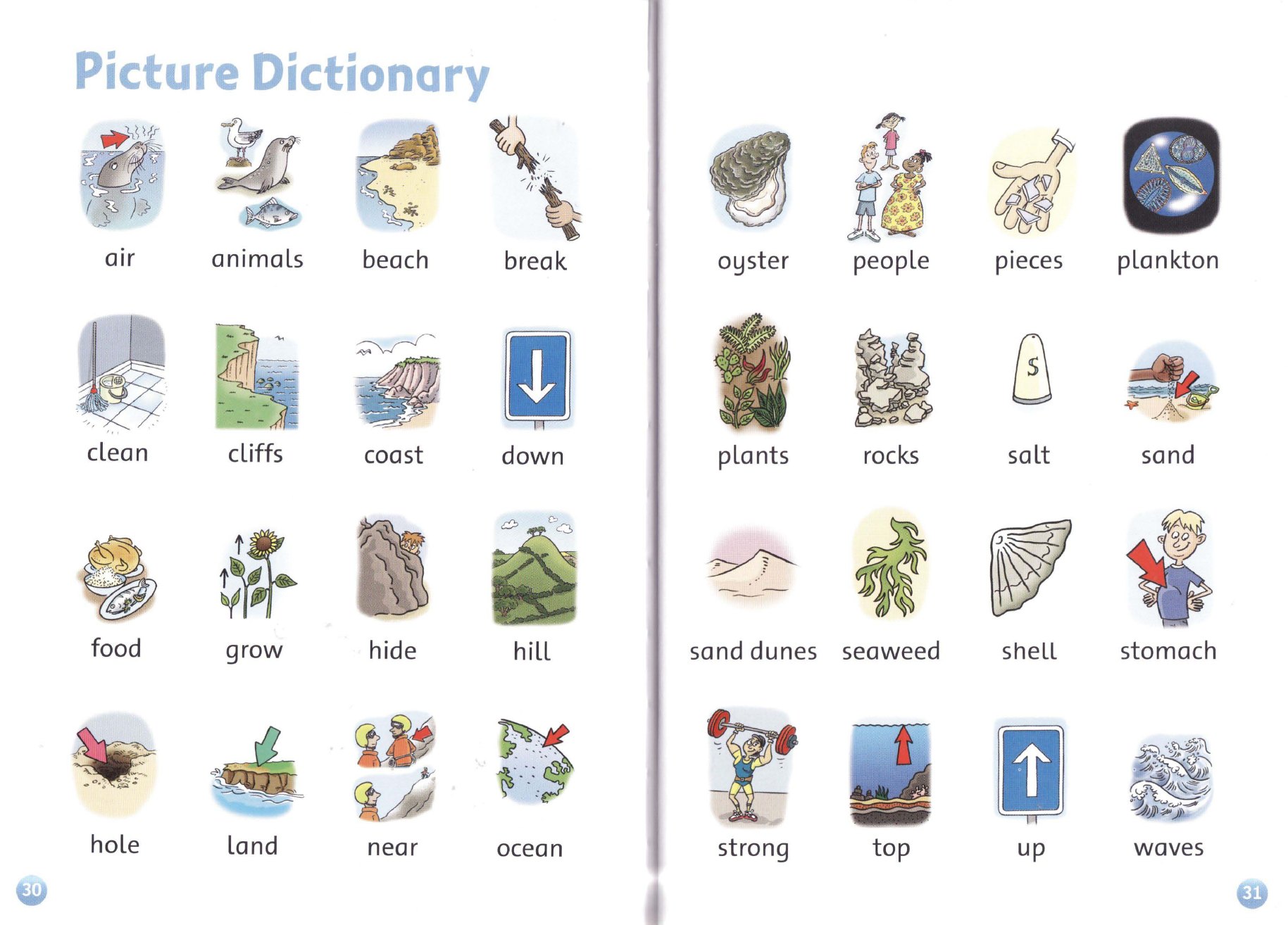 Picture Dictionary