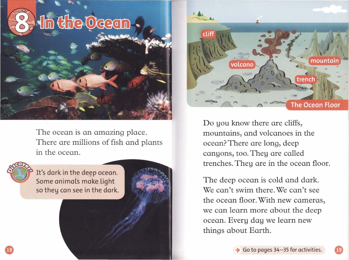In the Ocean