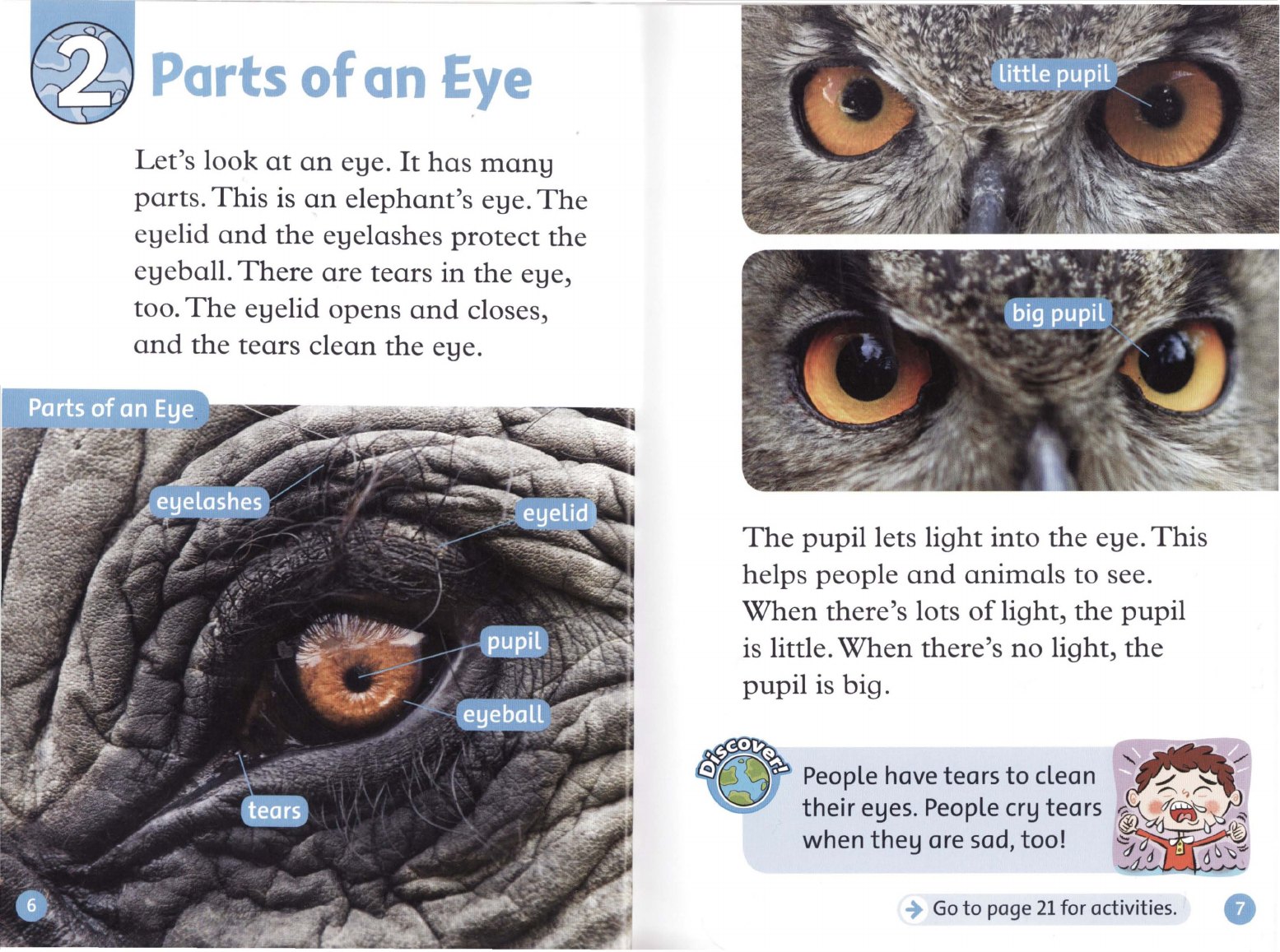 Parts of an Eye