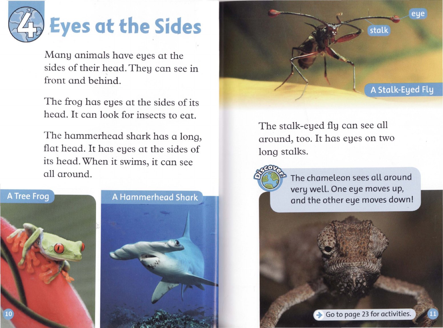 Eyes at the Sides