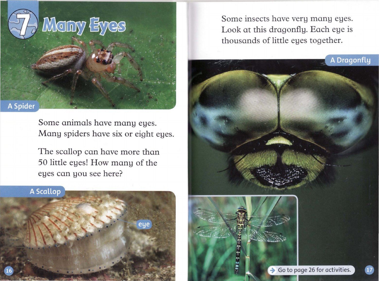Many Eyes