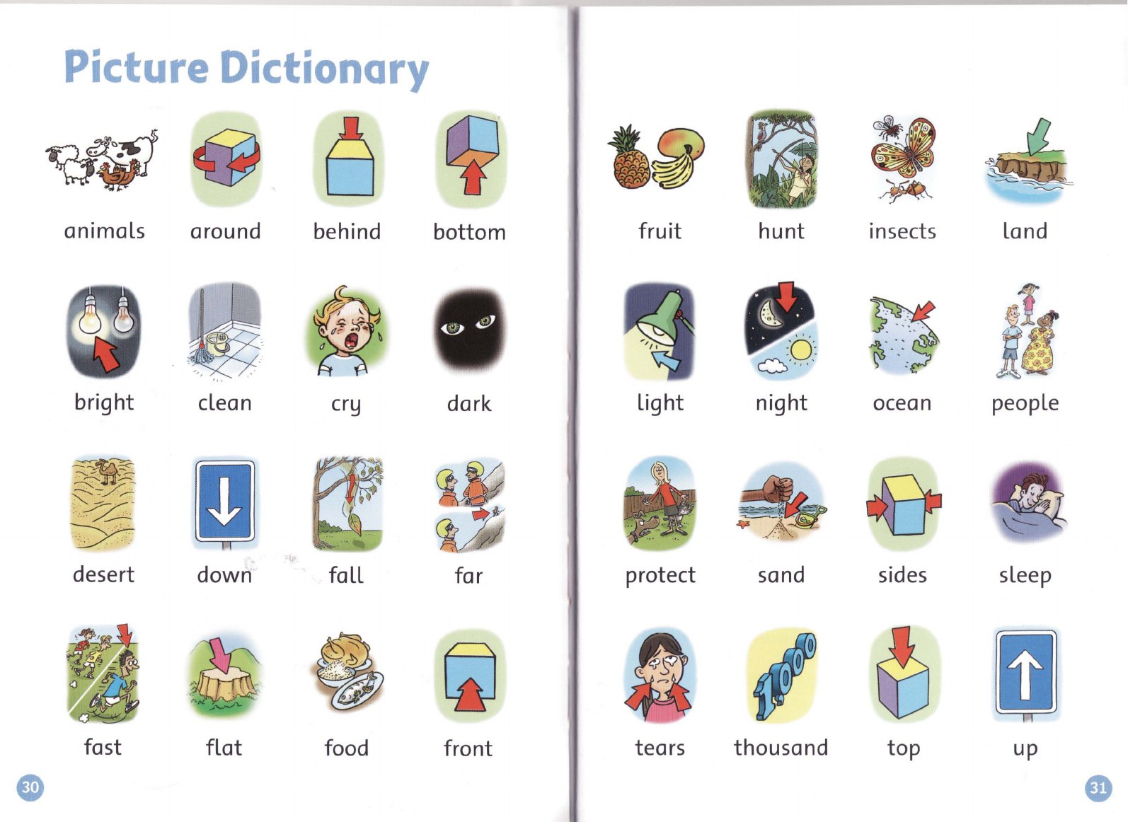 Picture Dictionary