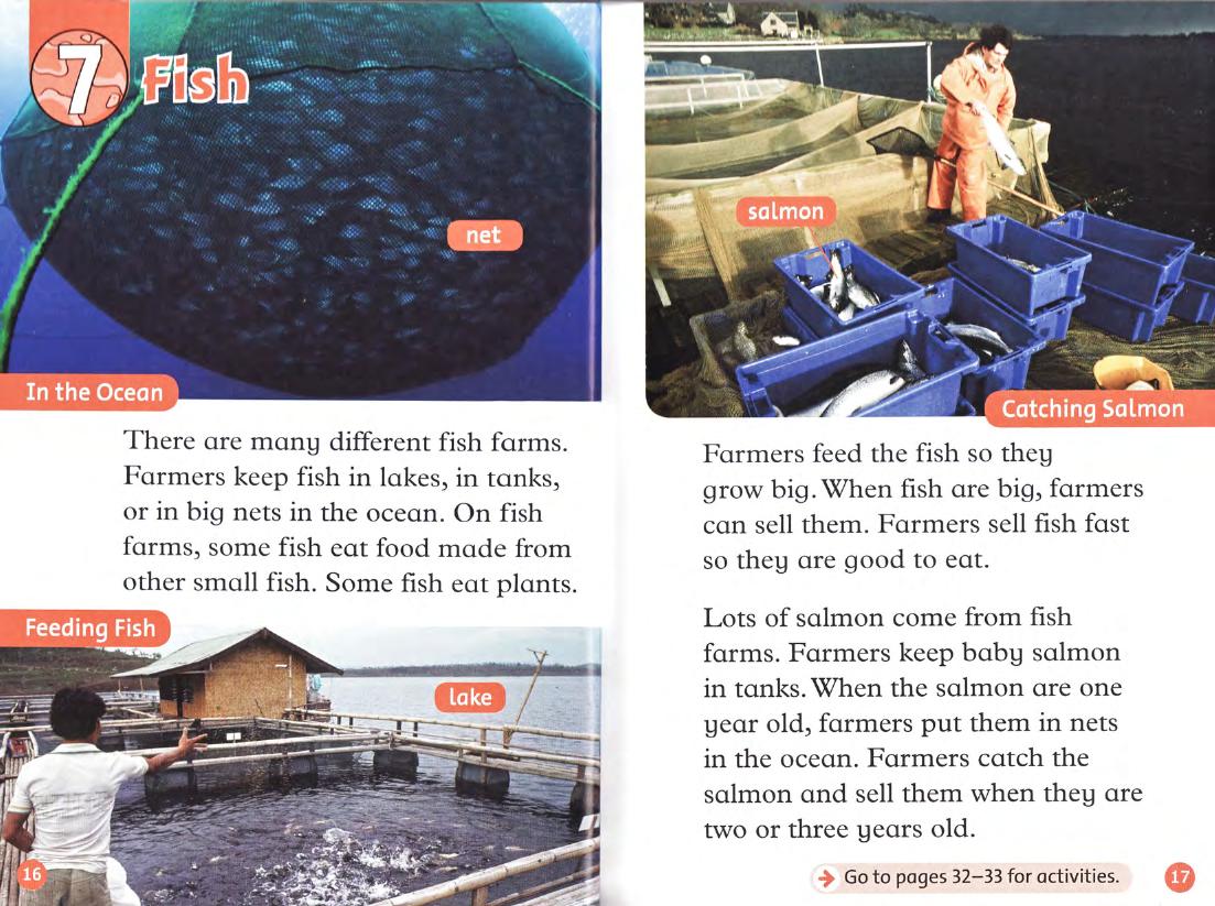Fish