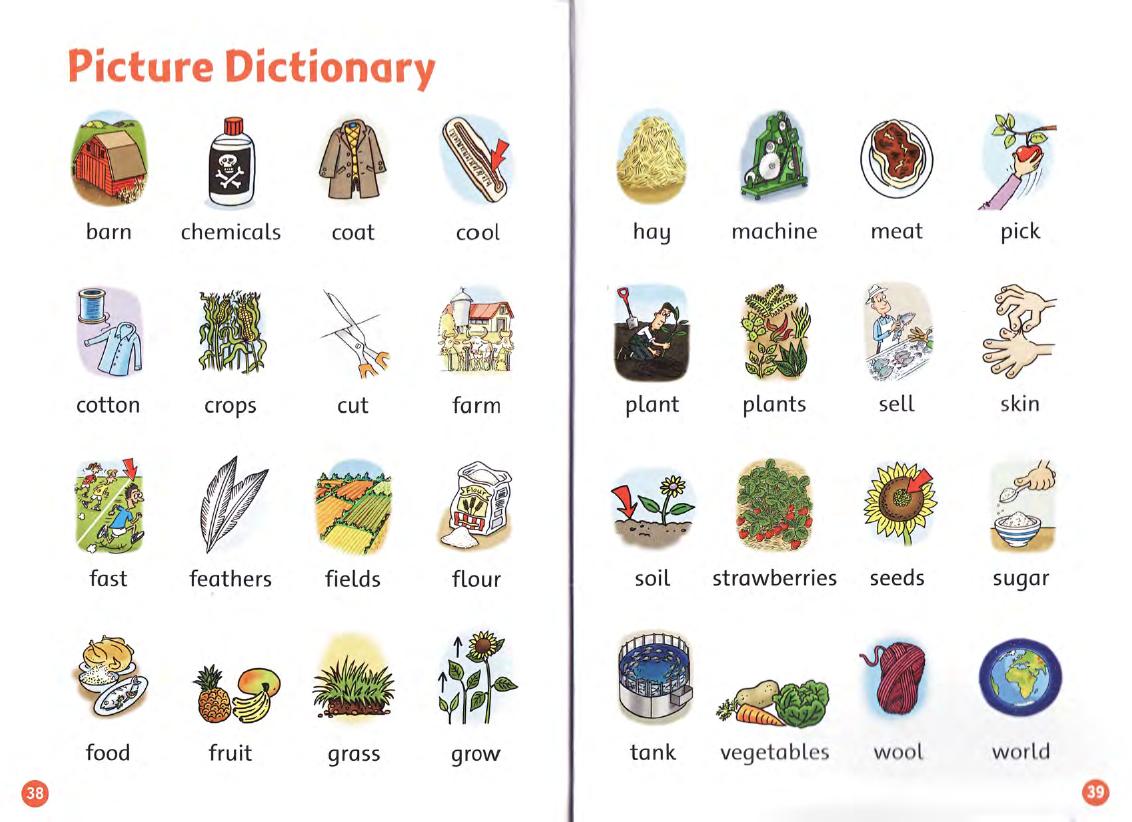 Picture Dictionary