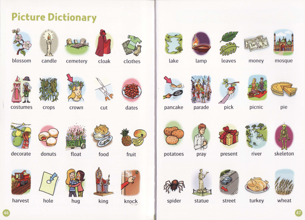 Picture Dictionary