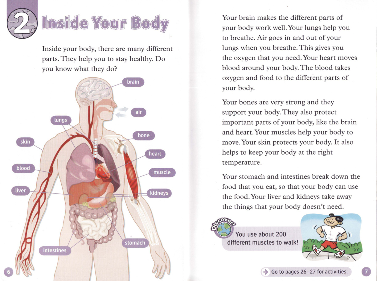 Inside Your Body