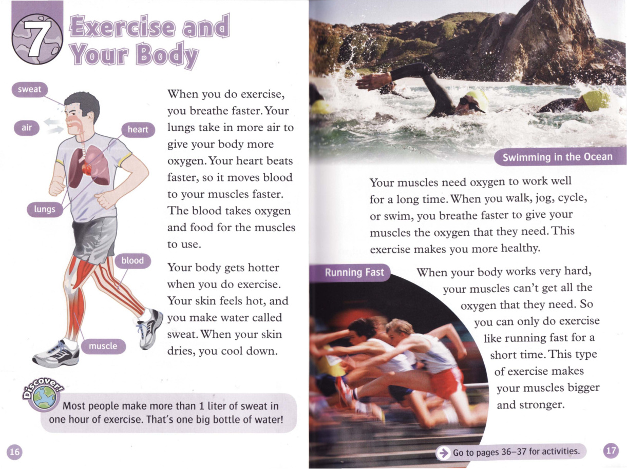 Exercise and Your Body