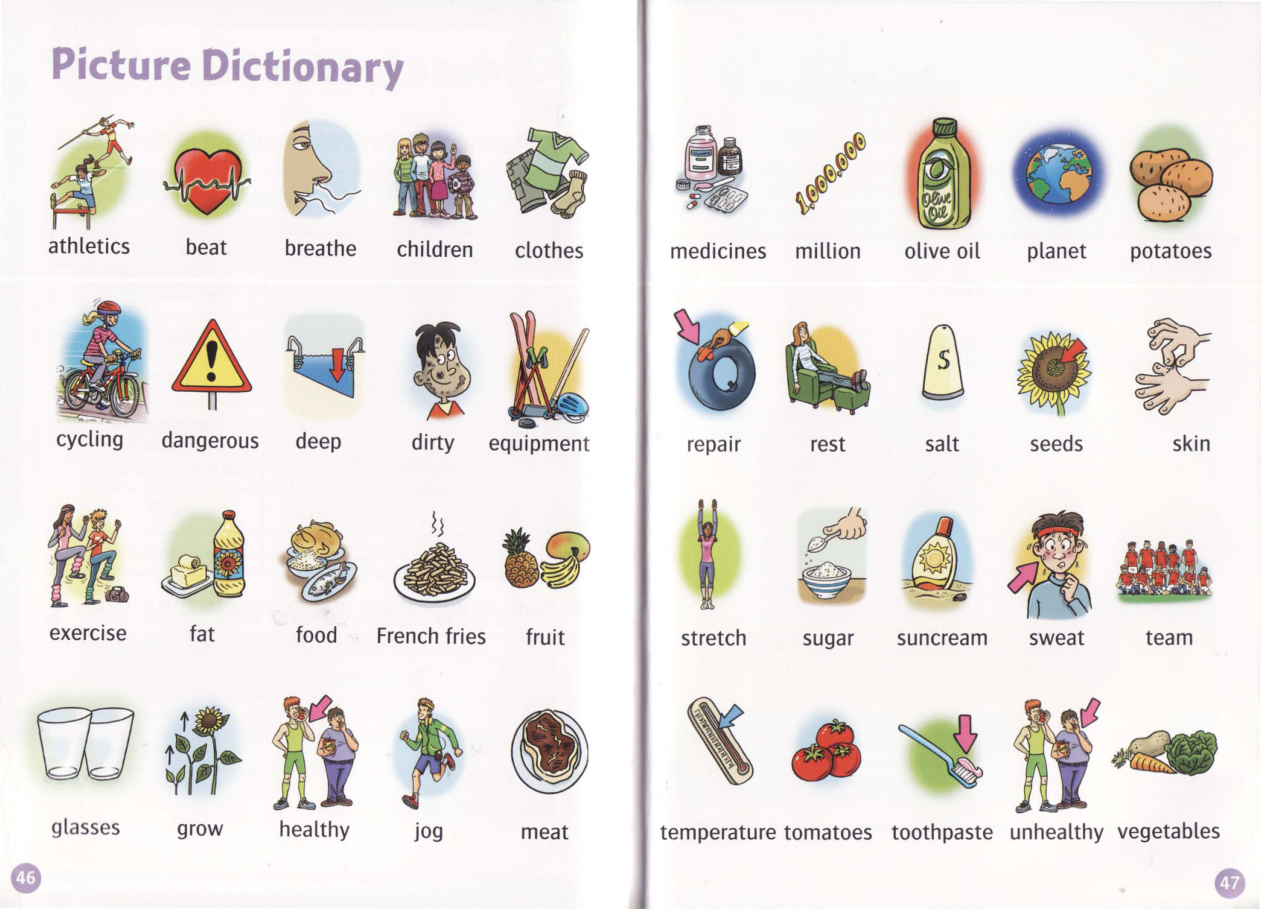Picture Dictionary