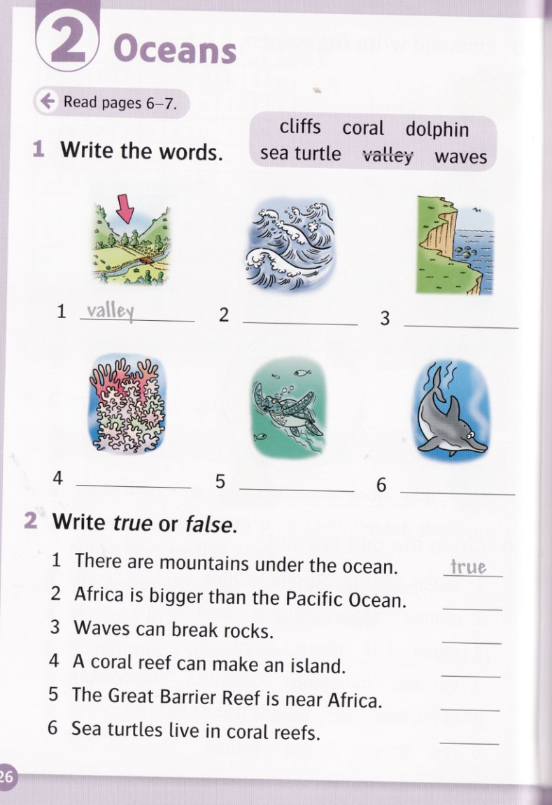 Write the words for the numbered pictures.
