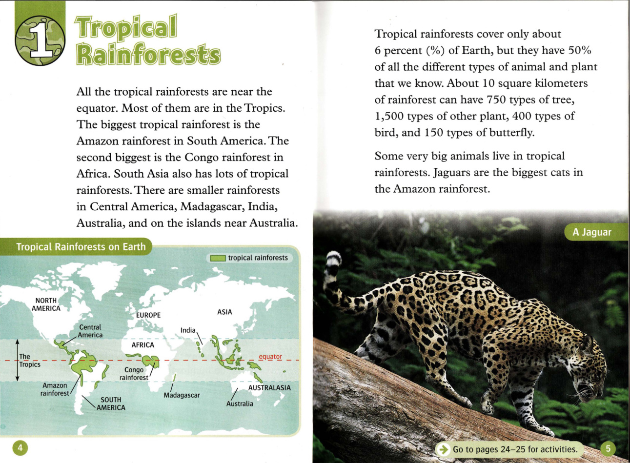 Tropical Rainforests