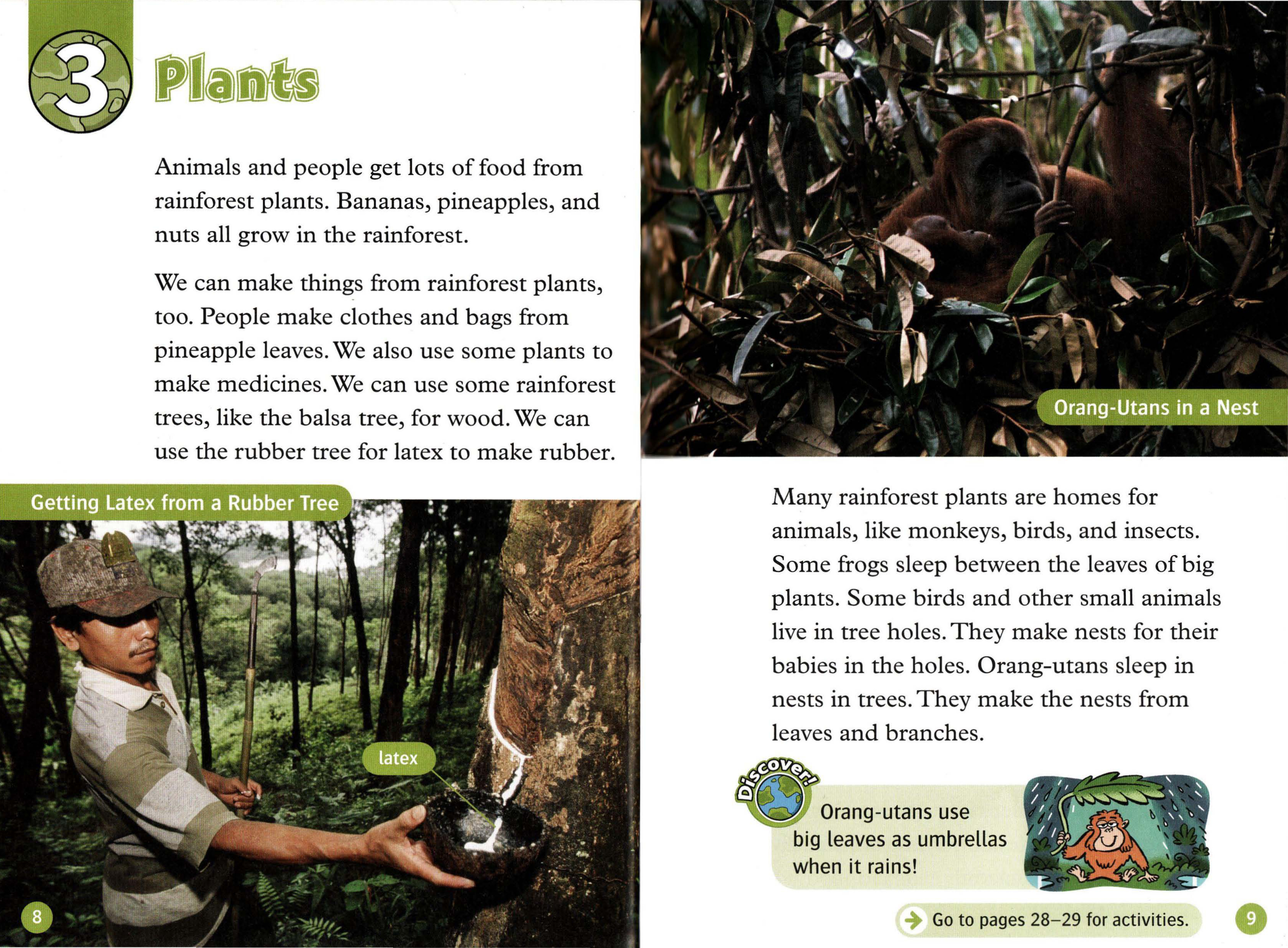 Plants
