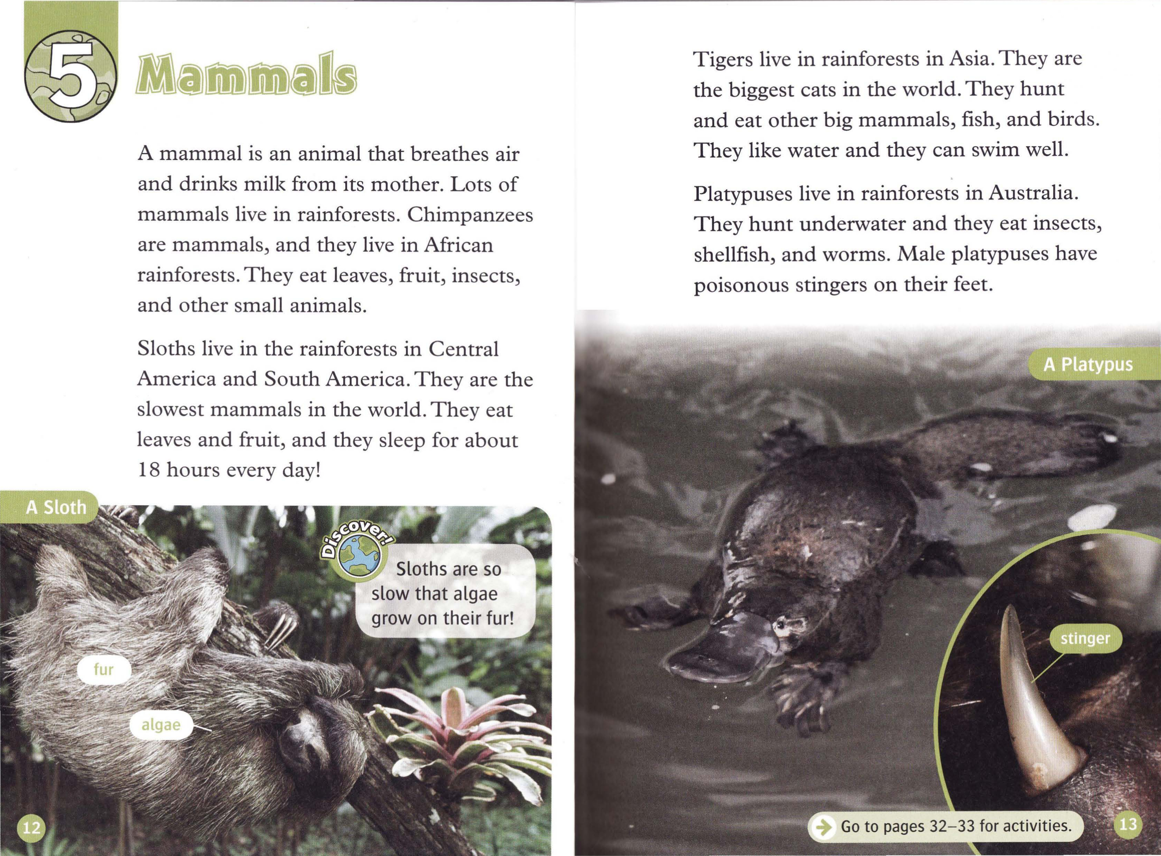 Mammals