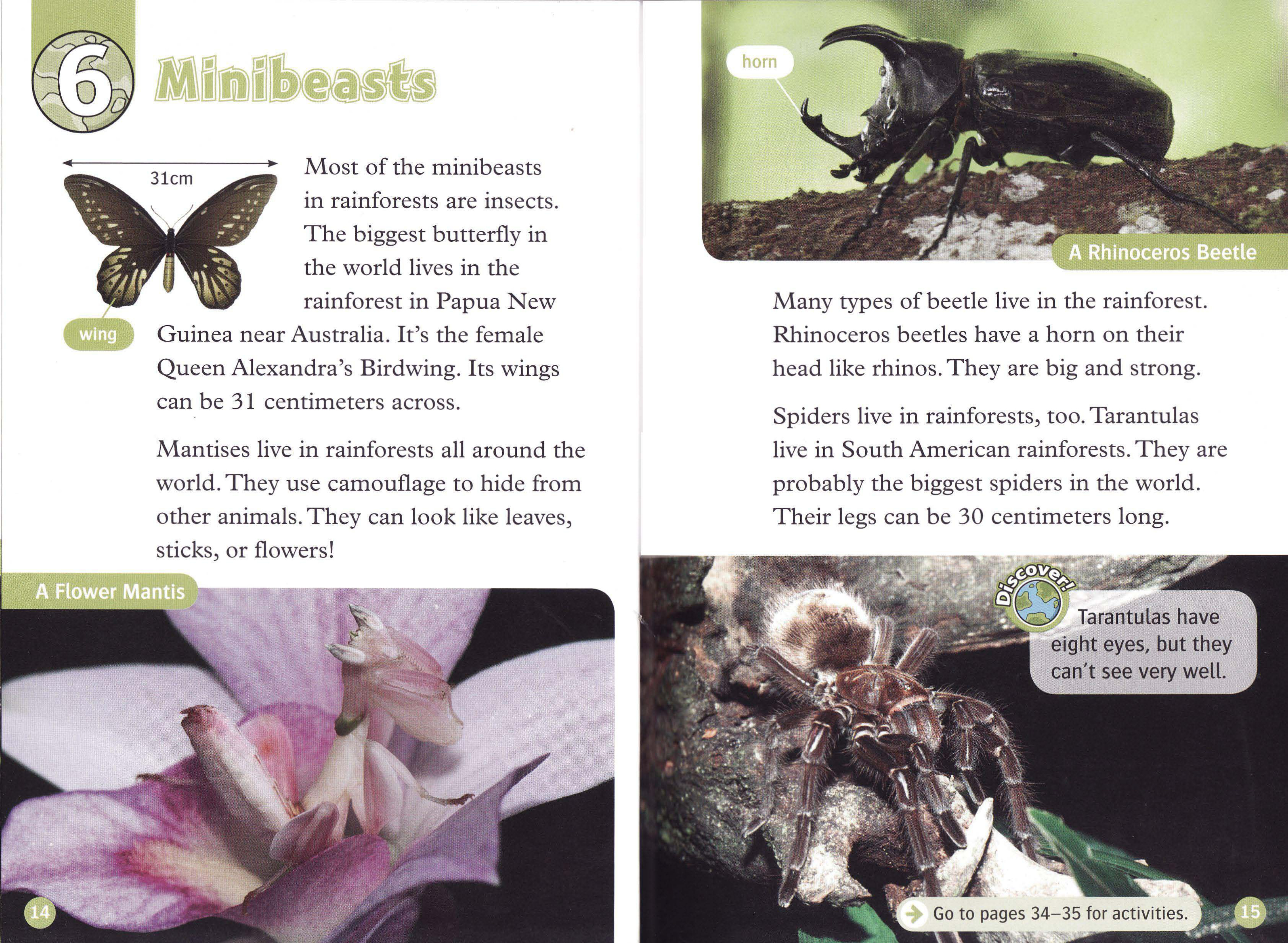 Minibeasts