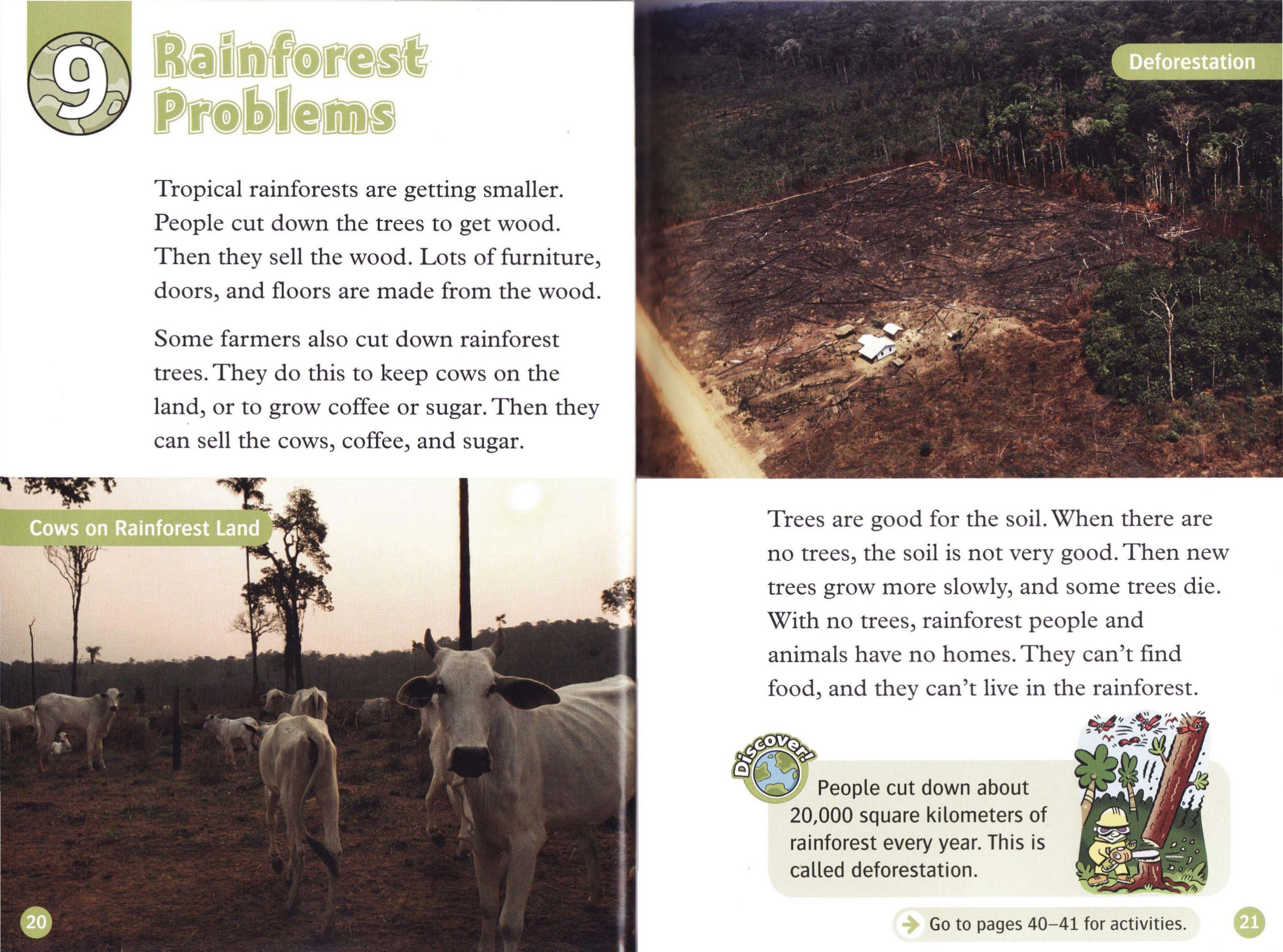 Rainforest Problems