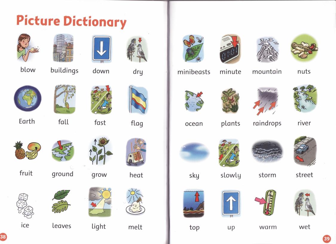 Picture Dictionary